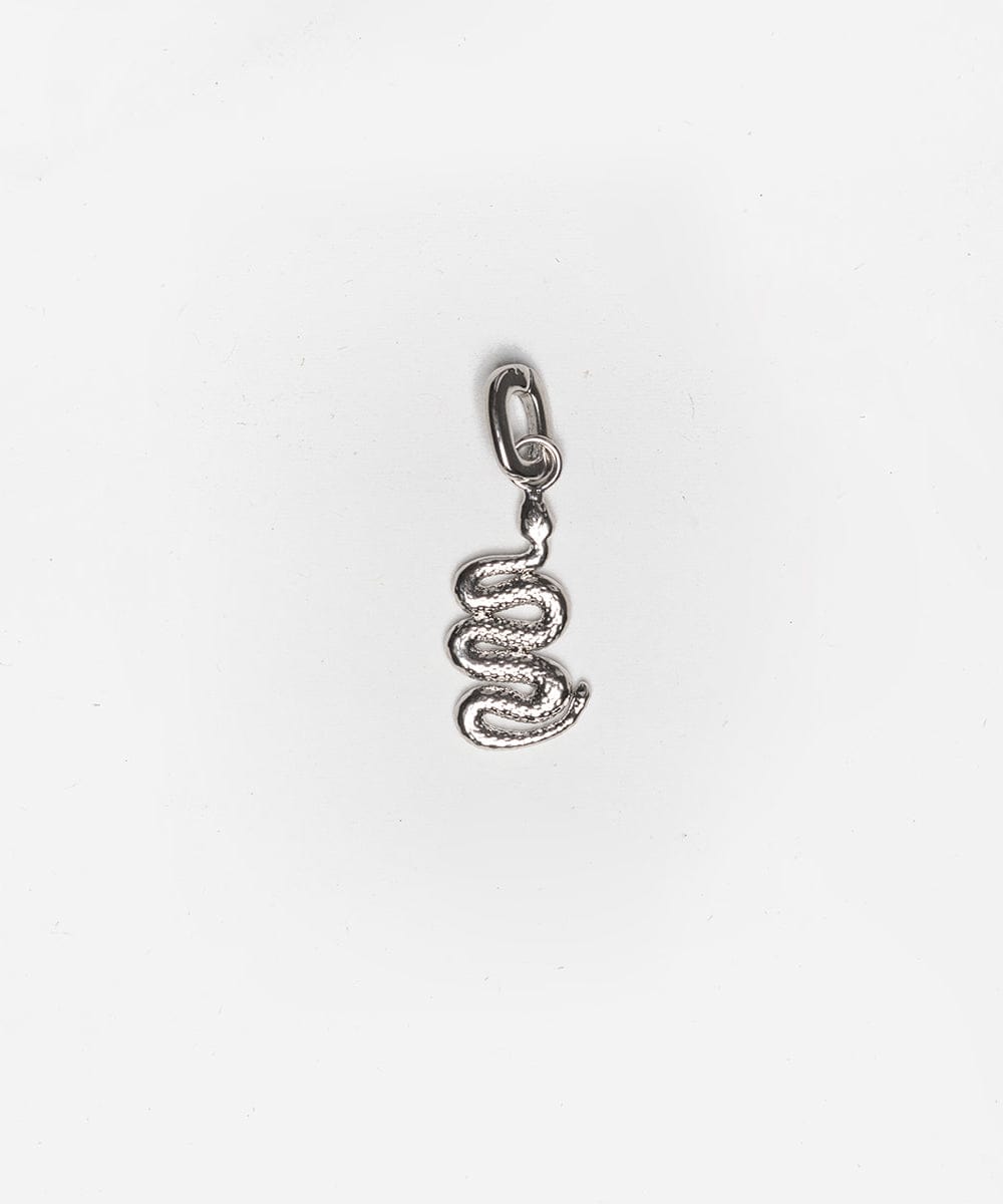 A silver snake hat charm on a white background #color_silver