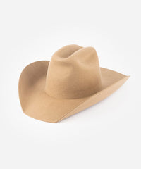 Tan cowboy hat on a white background #color_brown